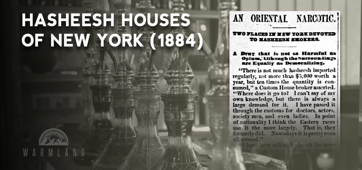 new-york-hasheesh-houses-1894