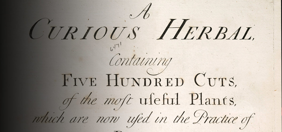1739 A Curious Herbal - Female Hemp