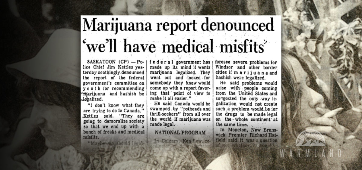 1971-canada-committee-on-youth-marijuana-legalization