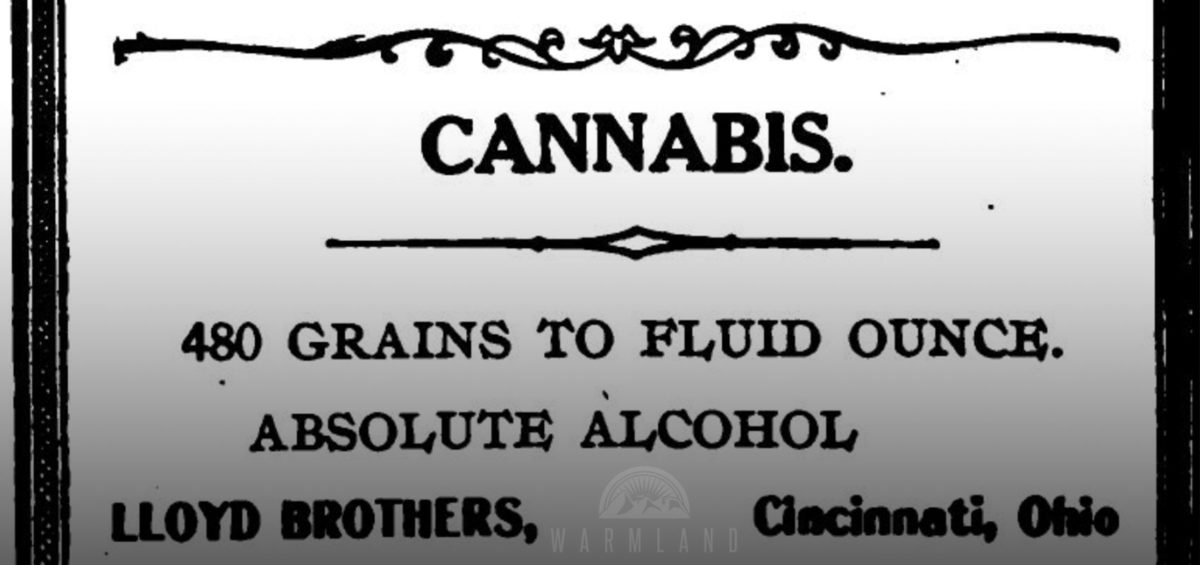 1907-lloyd-brothers-cannabis-dose-book-stomach-cancer