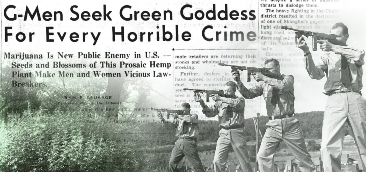gmen-seek-green-goddess-hemp